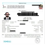 visa (4)