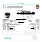 Untitled design (1)