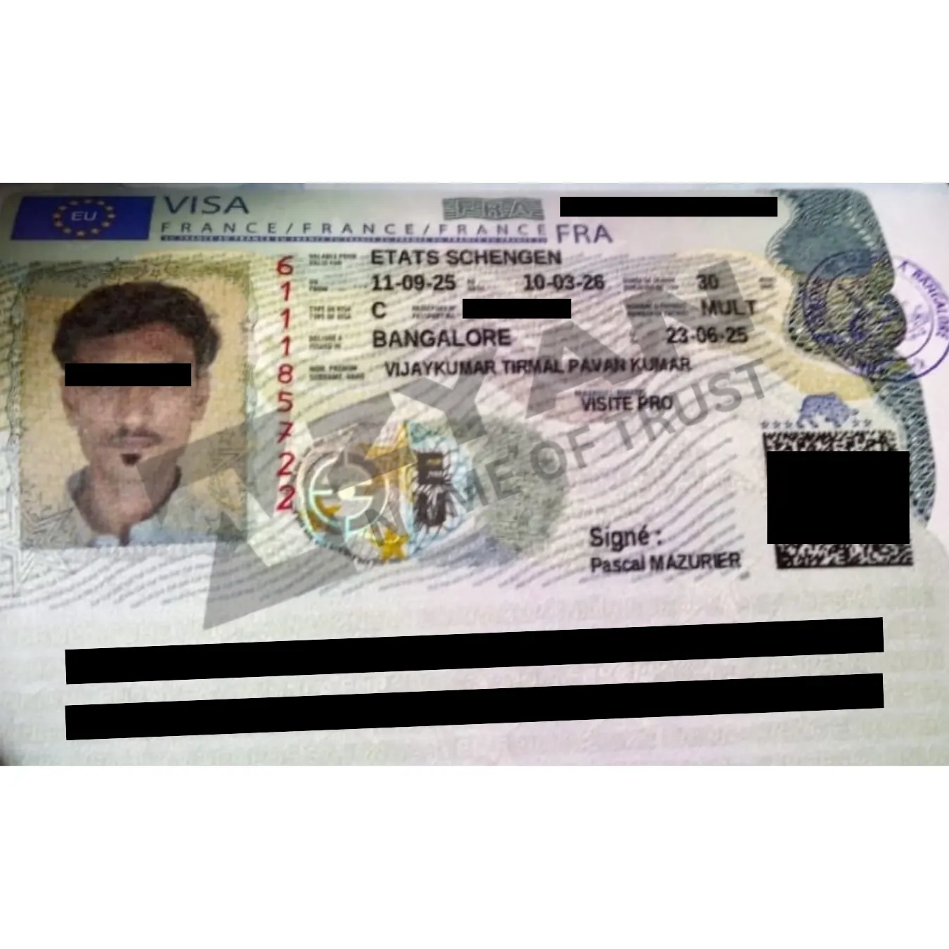 Untitled design (14)