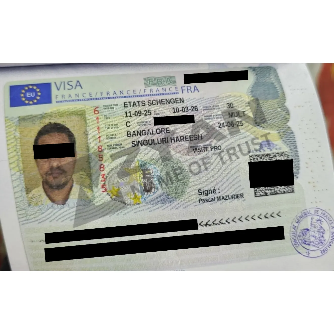 Untitled design (15)