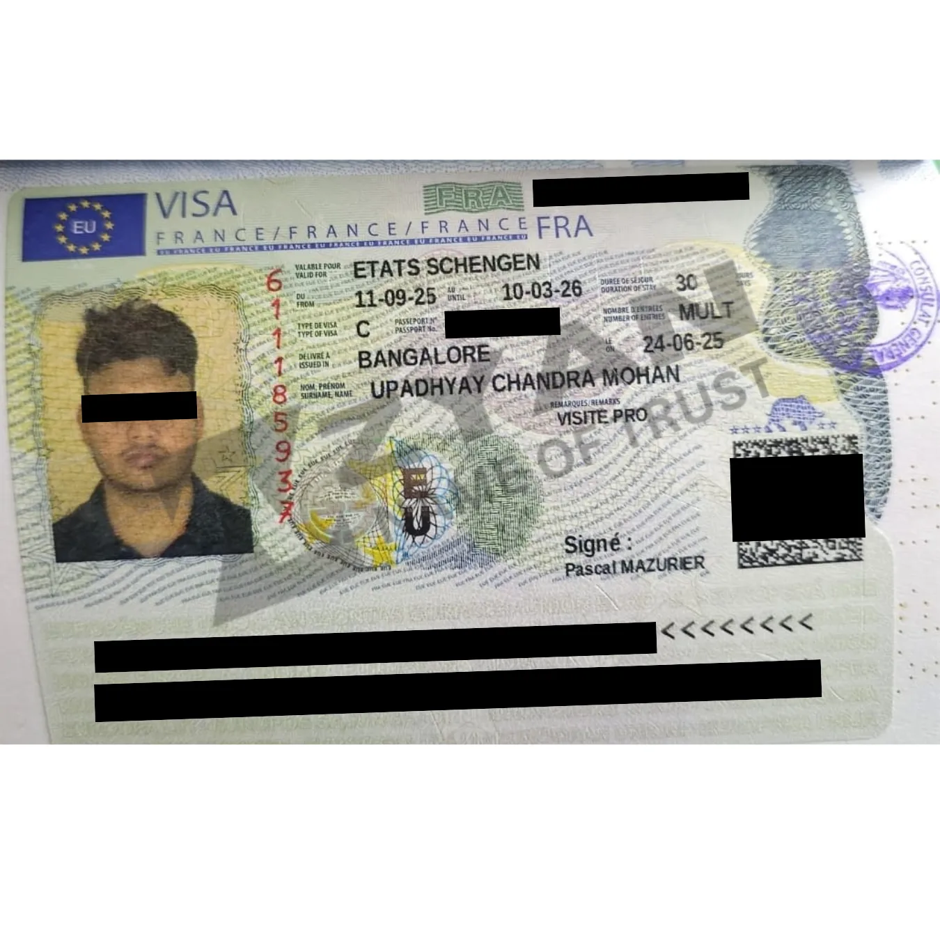 Untitled design (19)