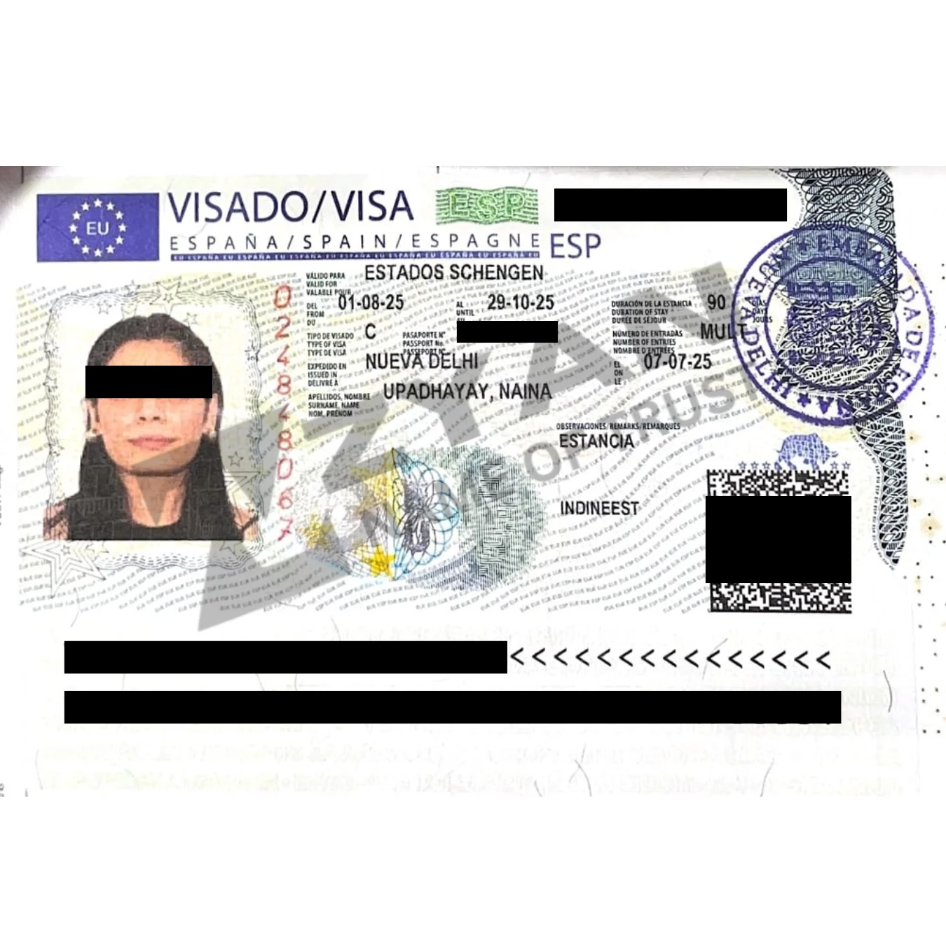 Untitled design (22)