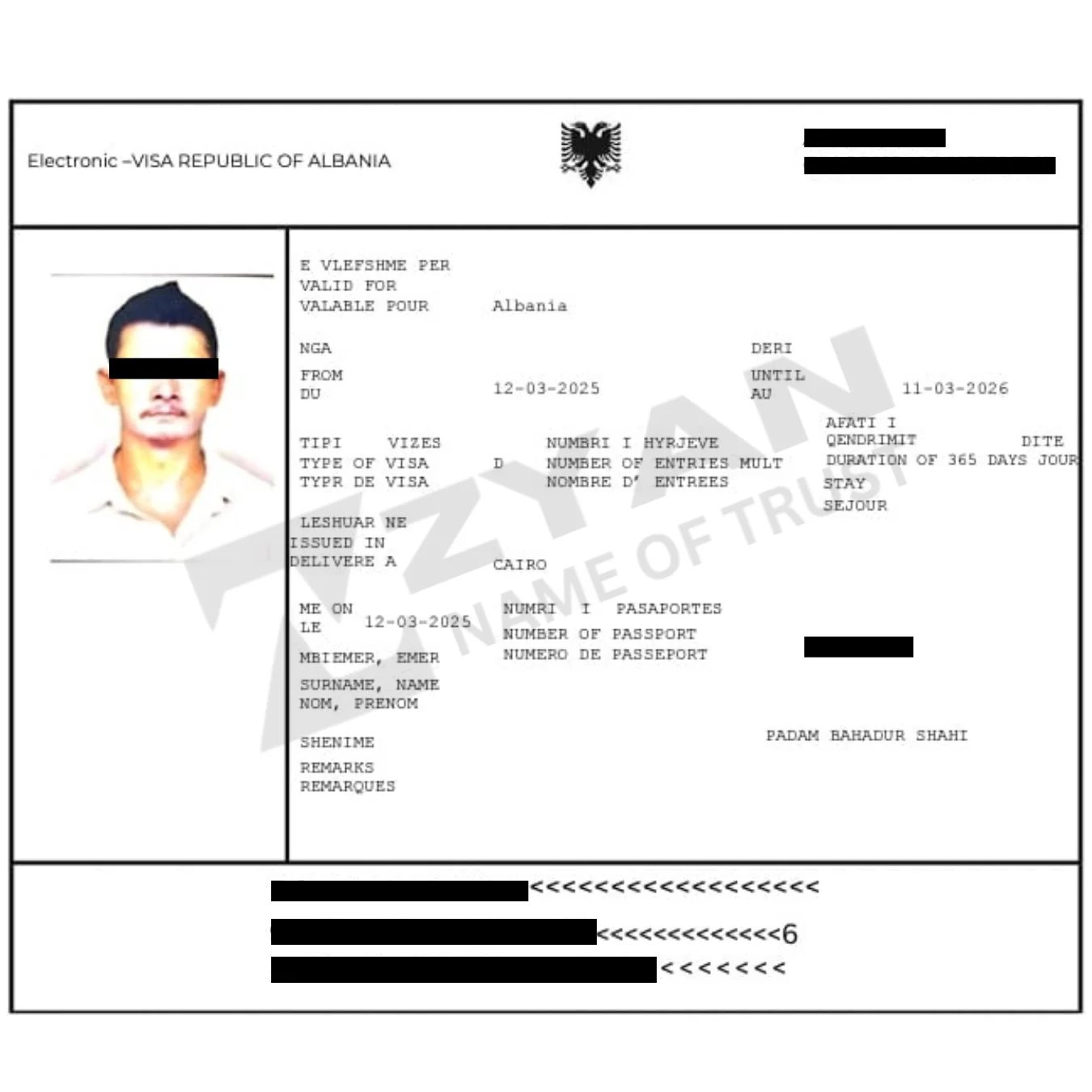 Untitled design (27)