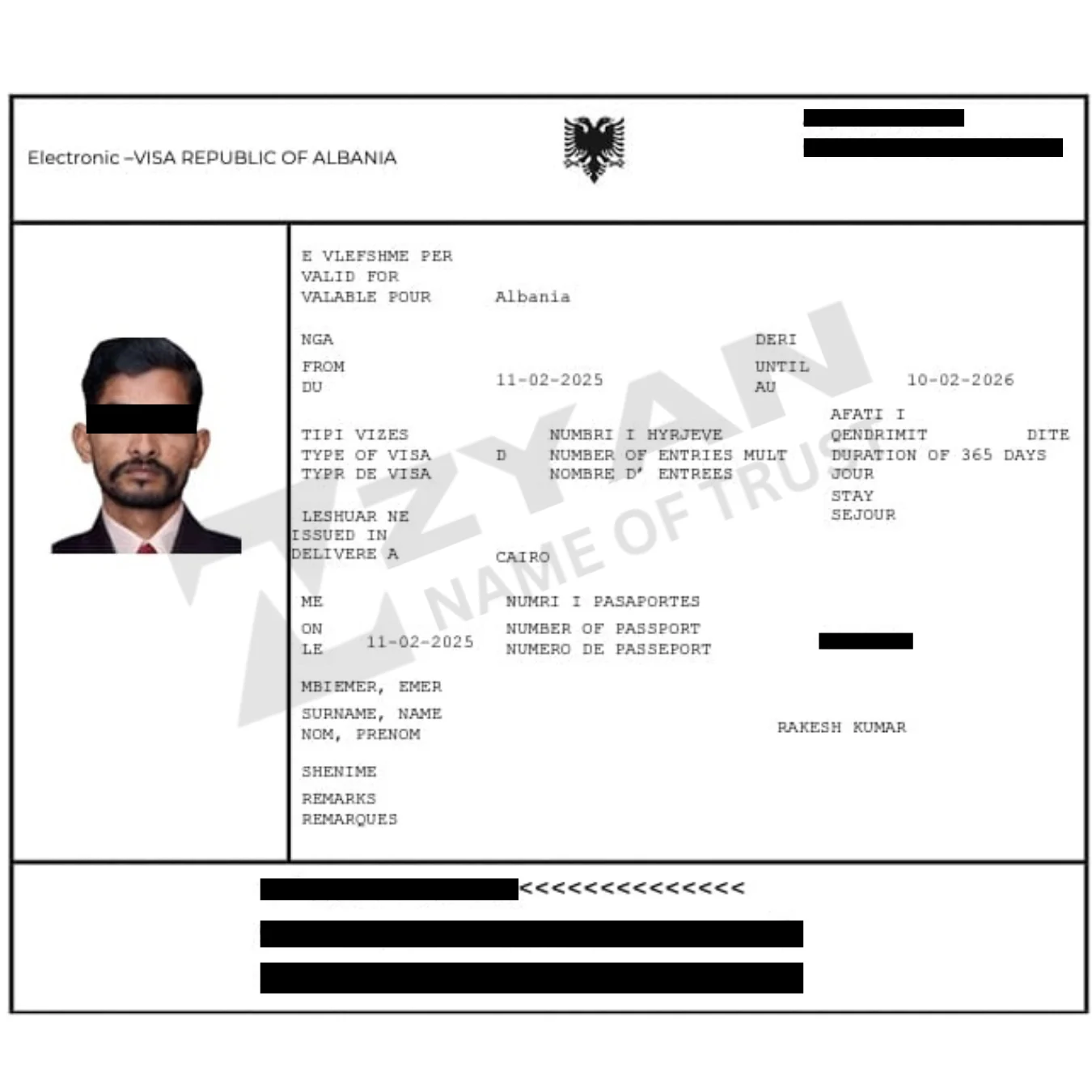 Untitled design (29)