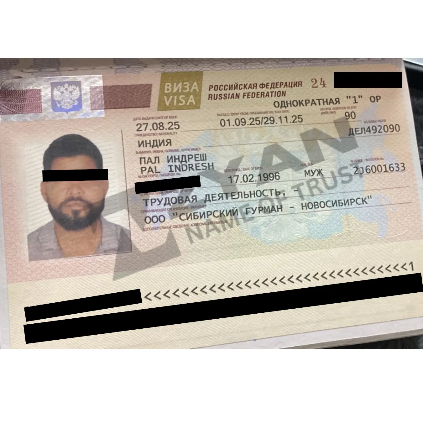 Untitled design (41)