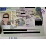 Untitled design (6)